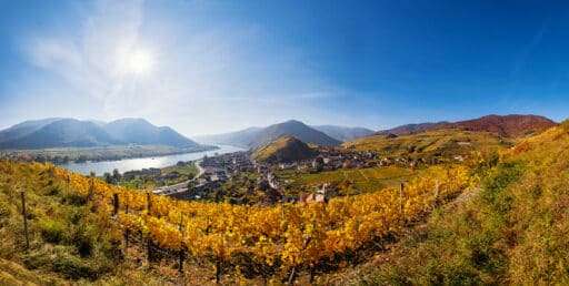 Detektei Niederösterreich