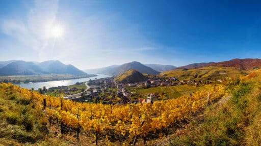 Detektei Niederösterreich