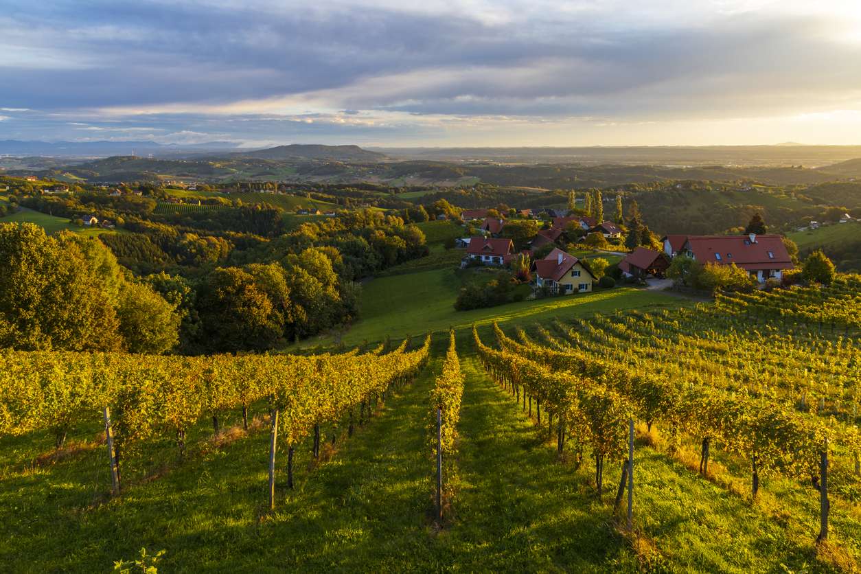 Detektiv Weststeiermark Deutschlandsberg Voitsberg
